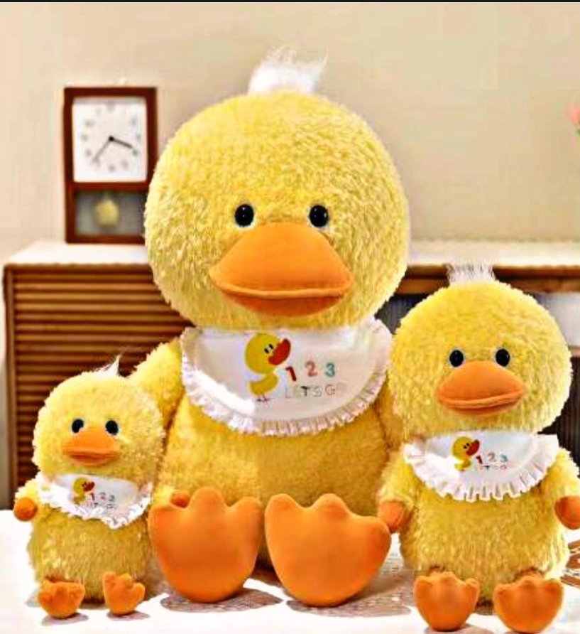 Fluffy Duck Plush (23cm)