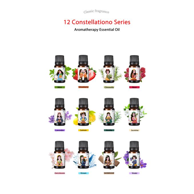 Fragrance Oil 12 Packs